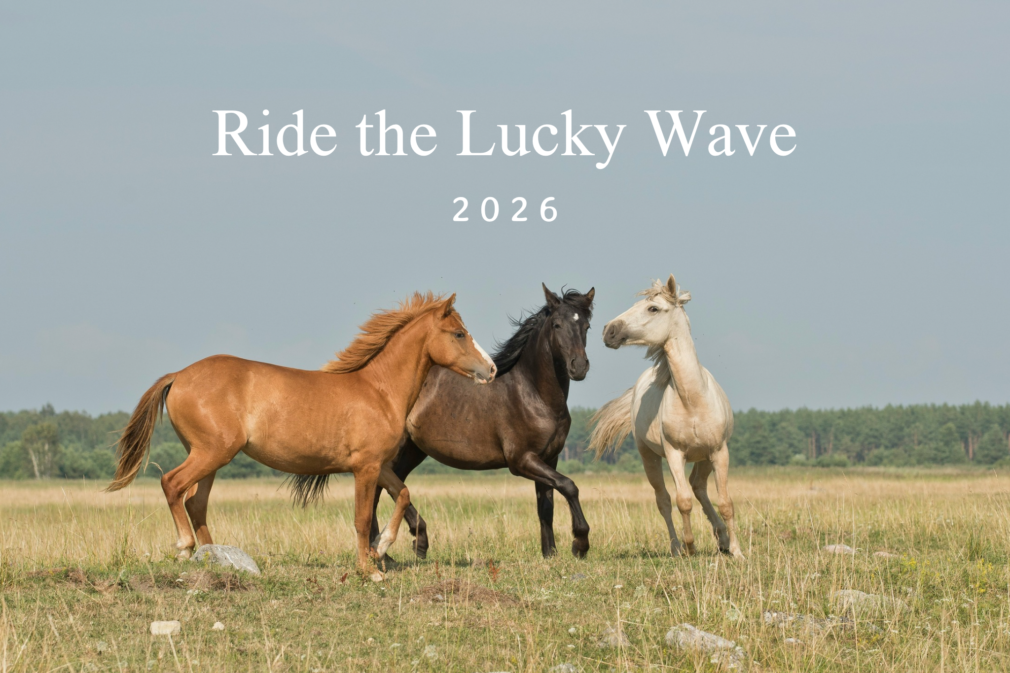 Ride the Lucky Wave
