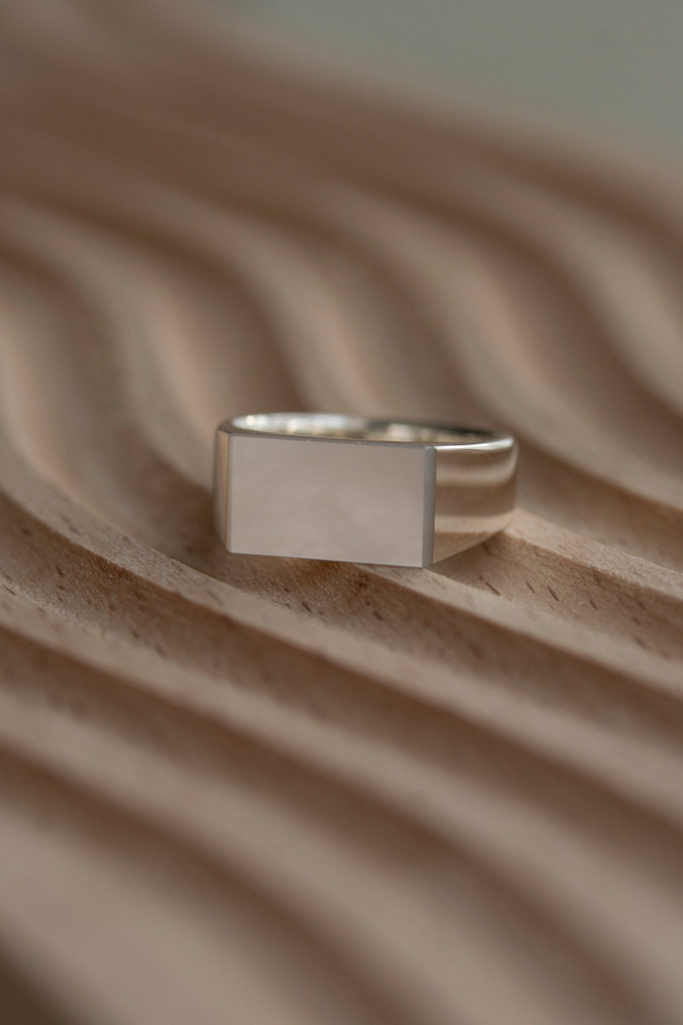 simmon SV & Rectangle Shell Signet Ring /Silver