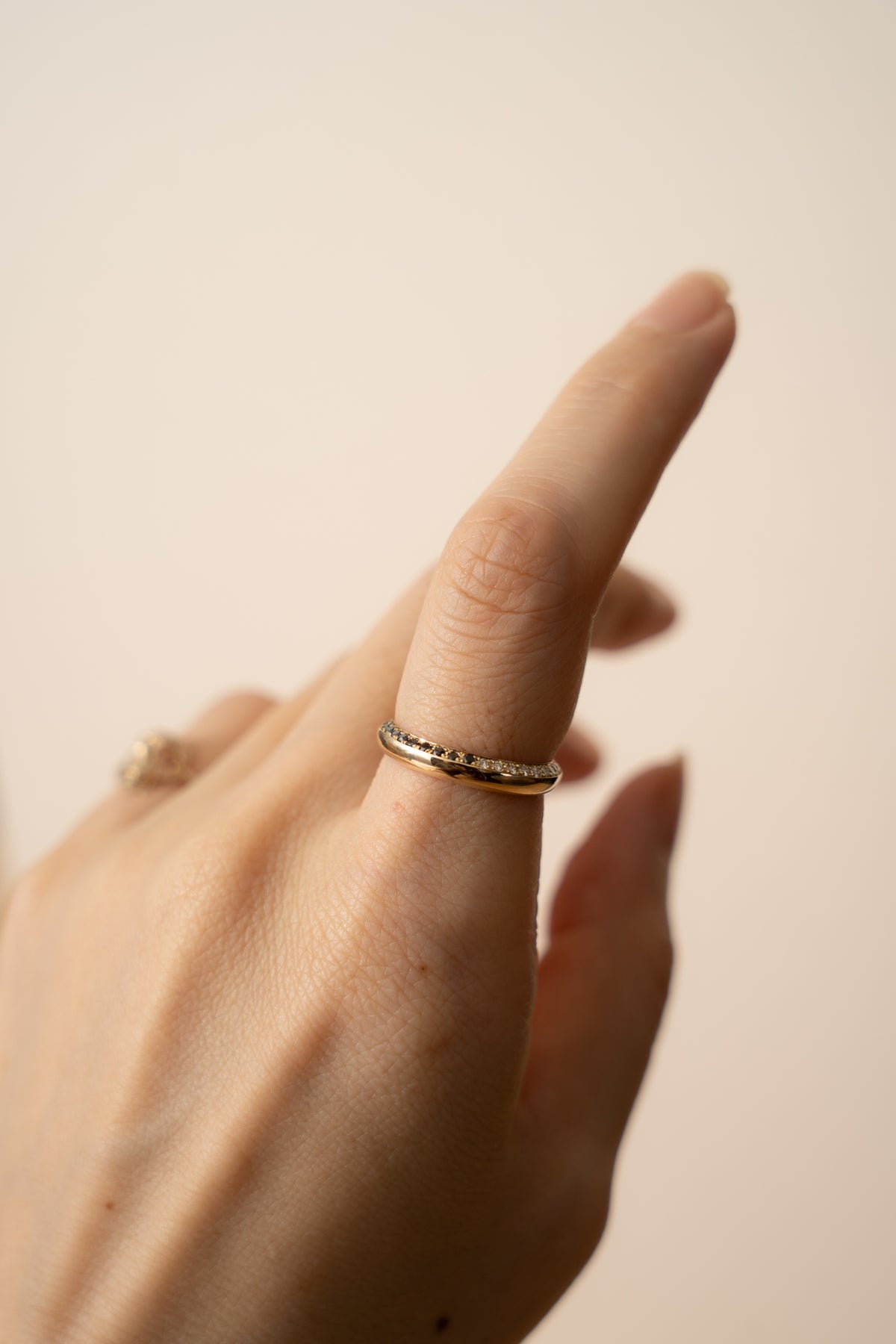 PALA Black & White Diamond Side Eternity Round Ring /K10