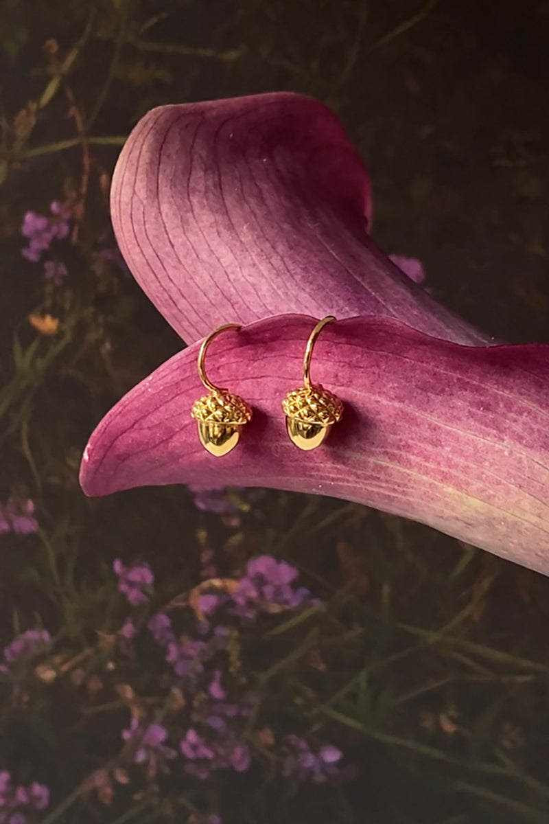 IDAMARI Acorn Pierced Earrings どんぐりピアス