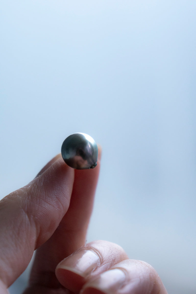 Seta Black south sea pearl pierced earring 南洋パールピアス/K18