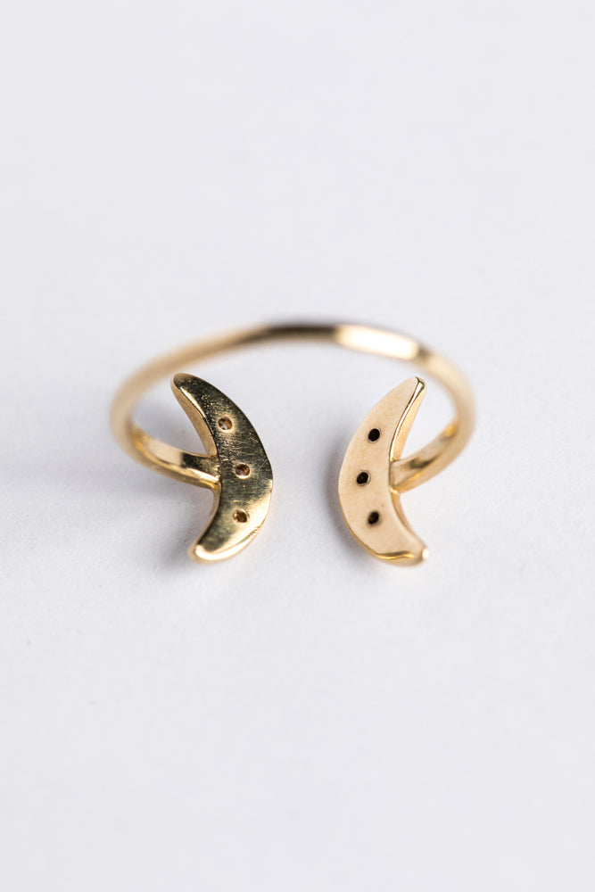 LiniE Serenity diamond Ring brown & black diamond ring/K10