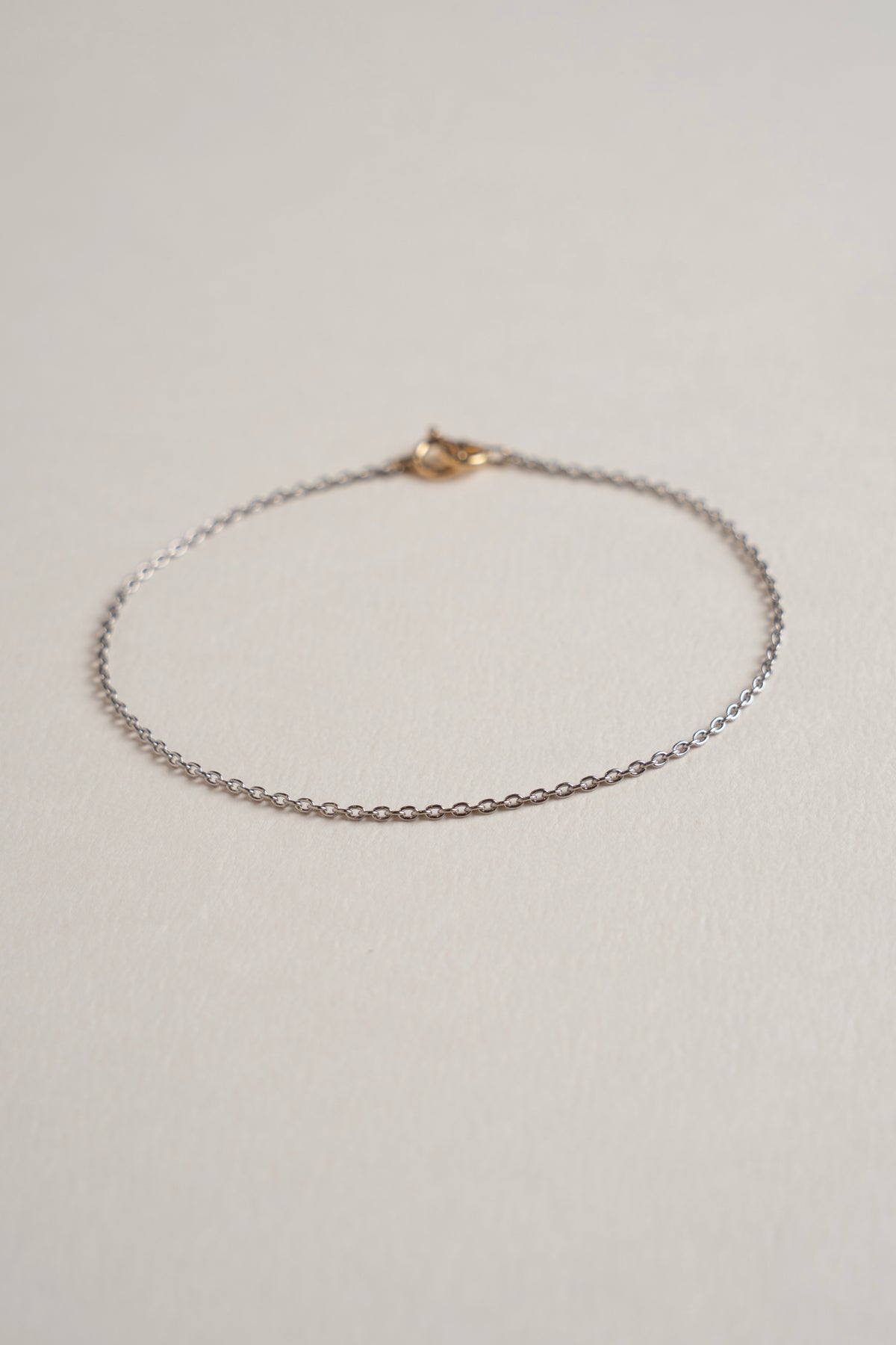 Seta Oval Chain Bracelet /PT850&K18